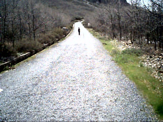 Image30.jpg