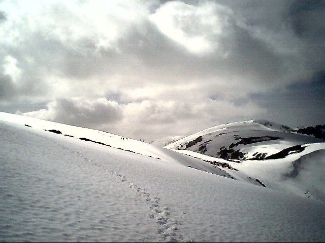 Image31.jpg