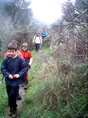 Image34.jpg