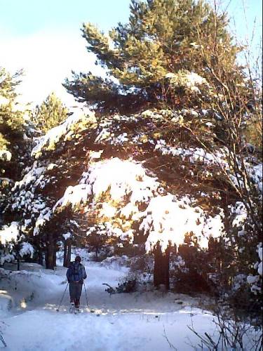 Image38.jpg