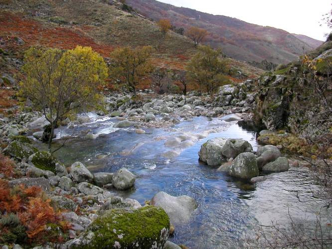 Img0023.JPG