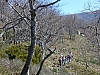 Img0019.JPG