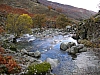 Img0023.JPG