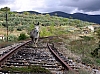 P1010215.jpg