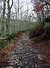 Pb230257.jpg