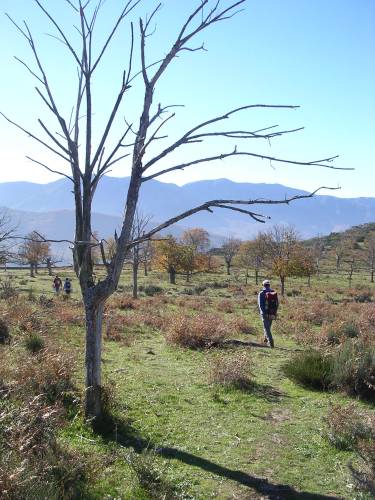 DSCN2638.JPG