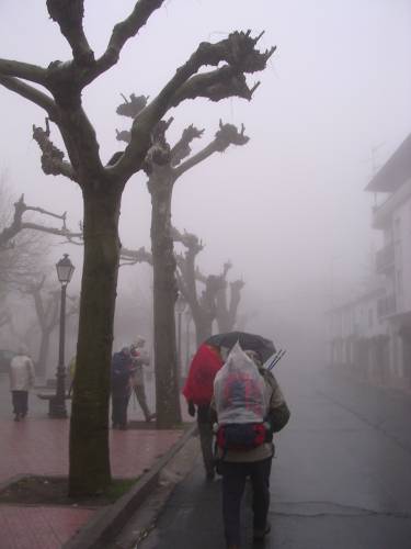 Img0003.jpg