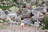 100_0297.JPG