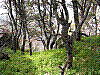 DSCN1535.JPG