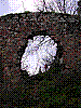 DSCN1561.JPG
