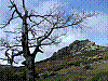 DSCN1770.JPG