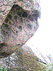 DSCN1917.JPG