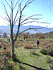 DSCN2638.JPG