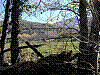 DSCN2667.JPG