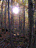 DSCN2705.JPG