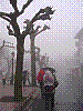 Img0003.jpg