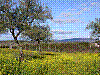 Img0056.JPG