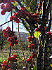Pb140264.jpg