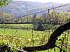 Pb140267.jpg
