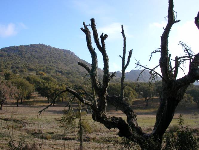 Img0013.JPG