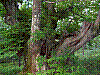100_1022.JPG