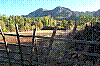 100_1475.JPG