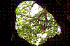 100_1519.JPG