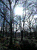 DSCN3149.JPG