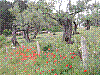 DSCN3242.JPG