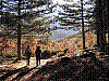 DSCN3828.JPG