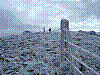 DSCN3944.JPG