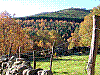 DSCN9448.JPG