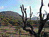 Img0013.JPG