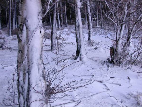 09.jpg