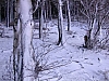 09.jpg