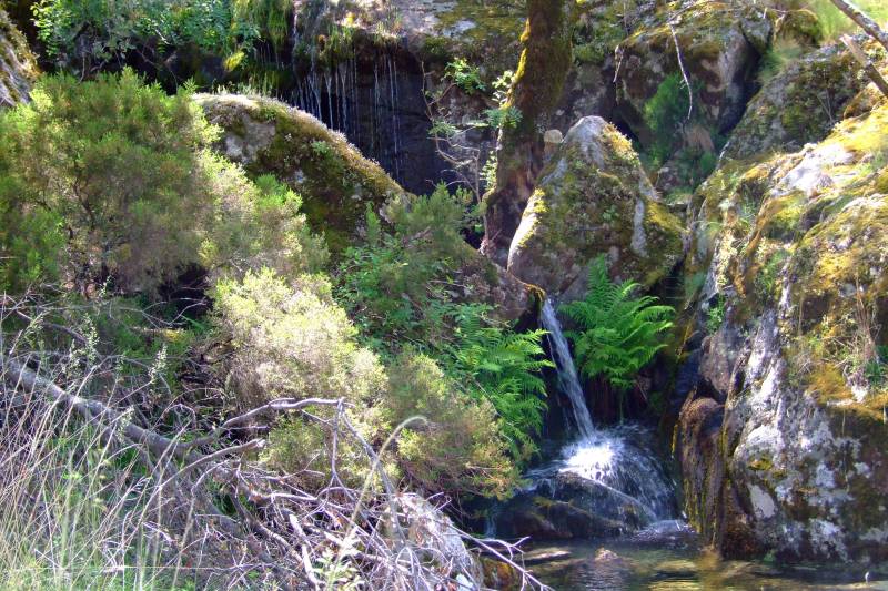 DSCF0853.JPG