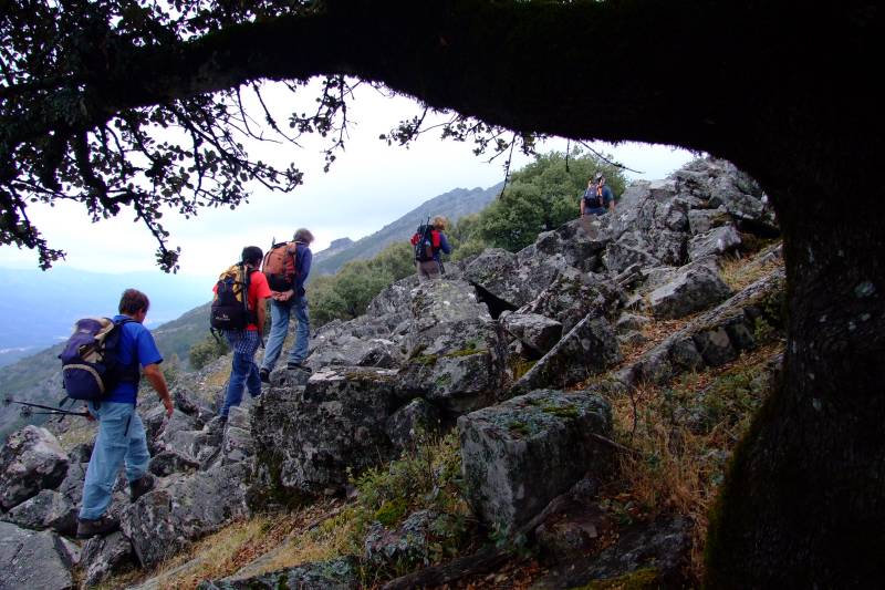 DSCF2872.JPG