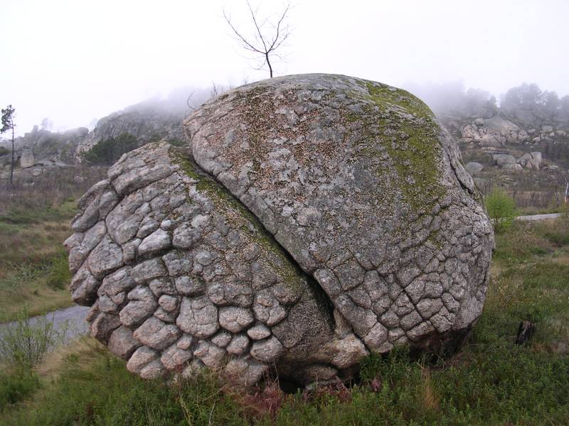 DSCN7032.JPG