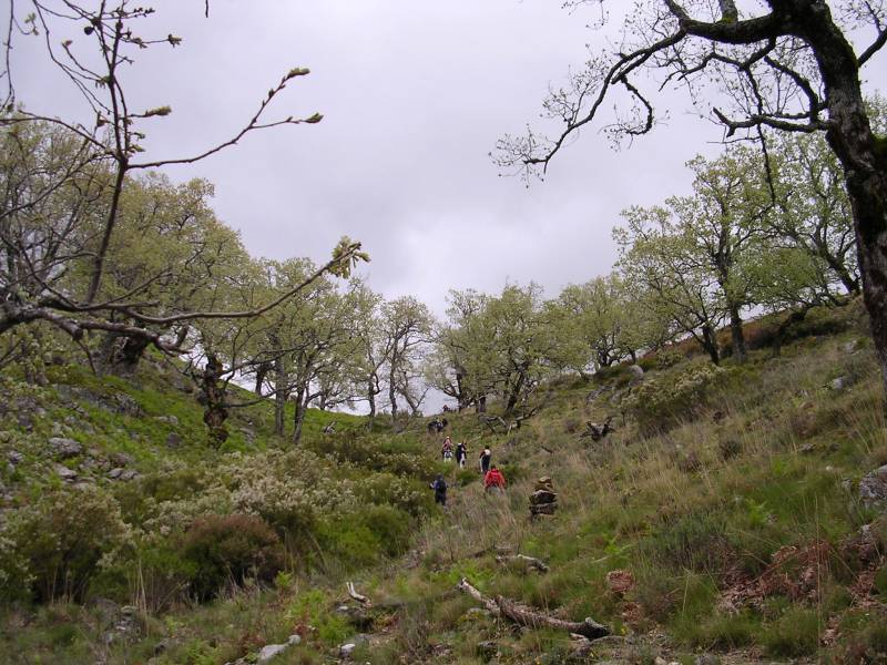 DSCN7234.JPG