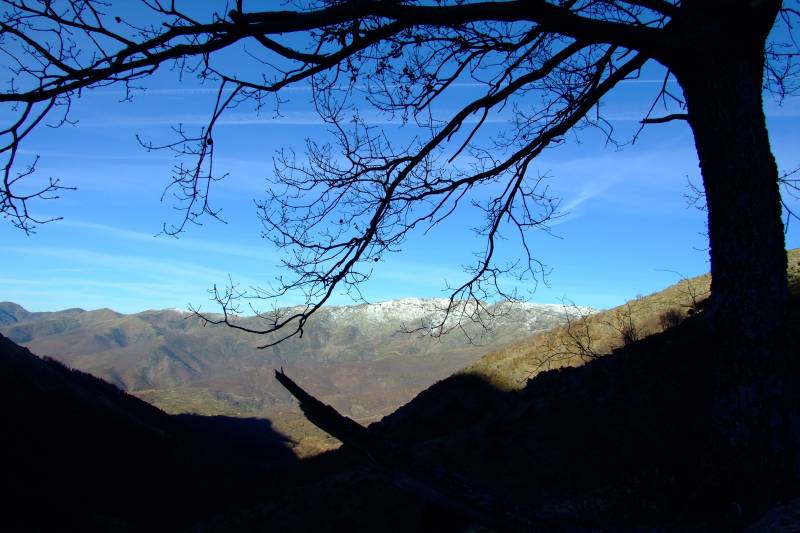 dscf7710.jpg