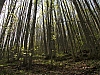 05.jpg