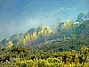 DSC04972.jpg
