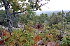 DSCF2848.JPG