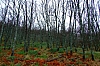 DSCF8963.JPG