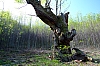 DSCF9342.JPG