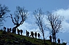 DSCF9446.JPG