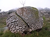 DSCN7032.JPG