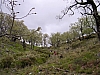 DSCN7234.JPG
