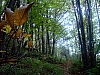 IMGP2124.JPG