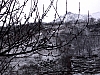 IMGP2767.JPG
